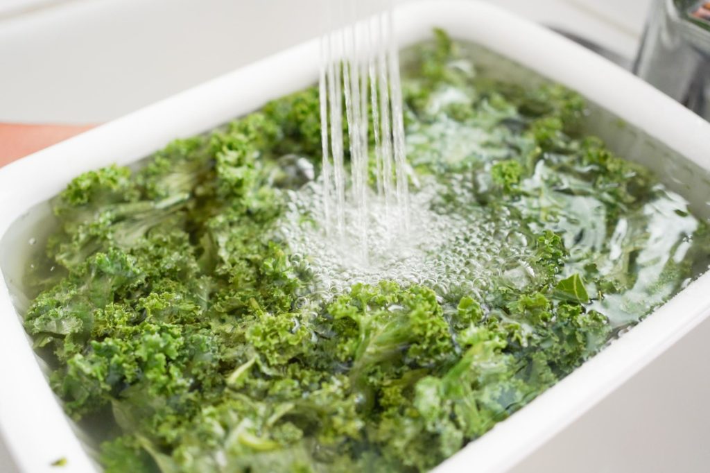 soaking kale in water